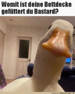 Mit-was-ist-deine-Bettdecke-gefttert?.jpg auf www.funpot.net