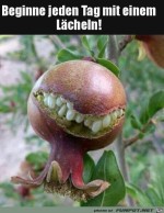 Ein-Lcheln.jpg auf www.funpot.net