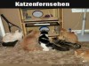 weiter