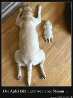 Vater-und-Sohn.jpg auf www.funpot.net