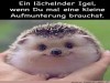 weiter