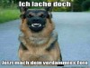 weiter