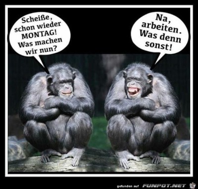 Schon-wieder-Montag.jpg von Schorsch