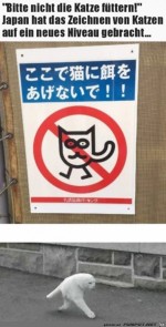 Komische-Katze.jpg auf www.funpot.net