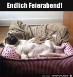 Endlich-Feierabend.jpg auf www.funpot.net