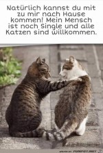 Mein-Mensch-ist-Single.jpg auf www.funpot.net