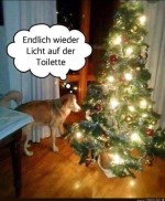 Licht.jpg auf www.funpot.net