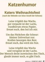 Katzen-an-Weihnachten.jpg auf www.funpot.net