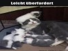 weiter