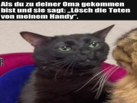 Wenn Katzen Omas Tech-Support geben m�ssen!