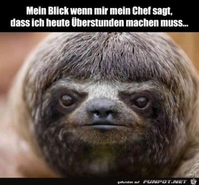 Mein-Blick.jpg von Susan
