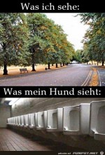 Was-ich-sehe.jpg auf www.funpot.net