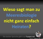 Meeresbiologie.jpg auf www.funpot.net
