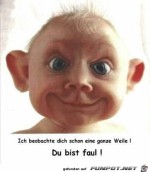 Ich-beobachte-dich-schon-eine-ganze-Weile-!.jpg auf www.funpot.net