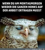 Montagmorgen.jpg auf www.funpot.net