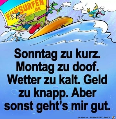 Das-trifft-es-auf-den-Punkt.jpg von Niklas