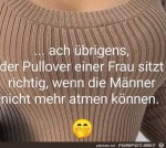 Pullover.jpg auf www.funpot.net