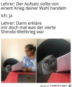 Was-ist-das-fr-ein-Krieg?.jpg auf www.funpot.net