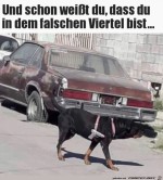 Schlechtes-Viertel.jpg auf www.funpot.net