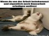 weiter