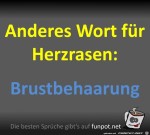 Herzrasen.jpg auf www.funpot.net
