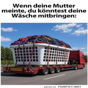 fun-Bild: Der XXL-W&auml;schekorb auf Tour