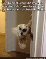 Andere-bekommen-zuerst-ihr-Essen.jpg auf www.funpot.net