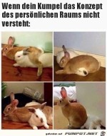 Kein-Abstand-gehalten.jpg auf www.funpot.net