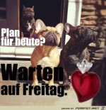 Mein-Plan-fr-heute.jpg auf www.funpot.net