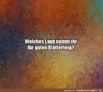 Gute-Frage.jpg auf www.funpot.net