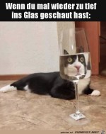 Zu-tief-ins-Glas-geschaut.jpg auf www.funpot.net