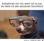 Vollen-Durchblick.jpg auf www.funpot.net