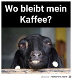 Wo-bleibt-mein-Kaffee?.jpg auf www.funpot.net