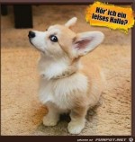 Ein-leises-Hallo-fr-mich?.jpg auf www.funpot.net