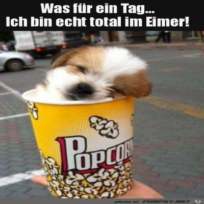 Voll-im-Eimer.jpg von Luis