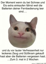 Nichts-in-der-Birne.jpg auf www.funpot.net