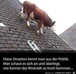 Wie-in-der-Politik.jpg auf www.funpot.net
