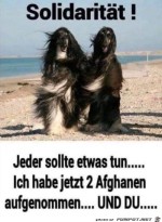 Solidaritt.jpg auf www.funpot.net