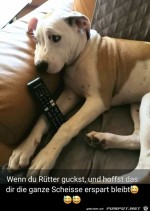 Hoffentlich-bleibt-mir-das-erspart.jpg auf www.funpot.net