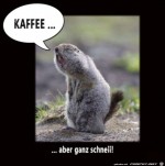 Kaffee-schnell.jpg auf www.funpot.net