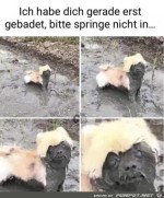 Gerade-erst-gebadet.jpg auf www.funpot.net