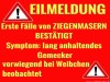 weiter