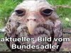 weiter
