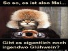 weiter