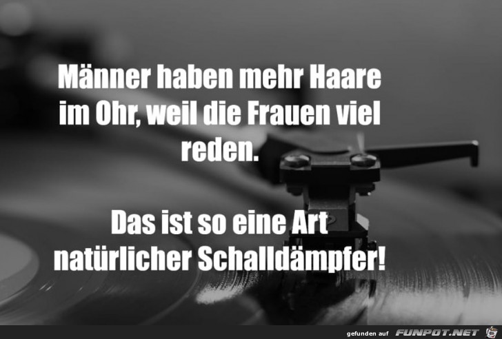 Frauen Reden Zu Viel