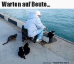 Wo-bleibt-die-Beute?.jpg auf www.funpot.net