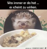 Das-Zeug-knallt.jpg auf www.funpot.net