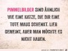 weiter
