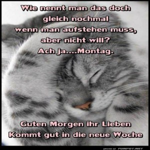 Begrüßungsbild