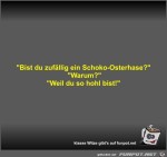 Bist-du-zufllig-ein-Schoko-Osterhase?.jpg auf www.funpot.net